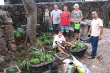 CTAHR workers creating Gilmore Hall